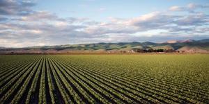agricoltura